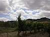 200807 t jacques 414.jpg